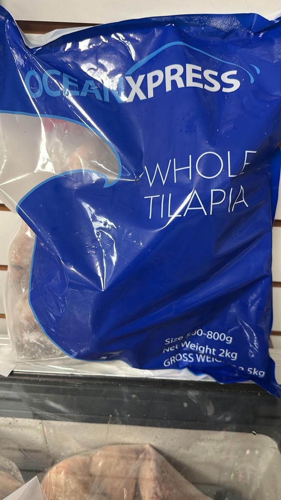 Tilapia