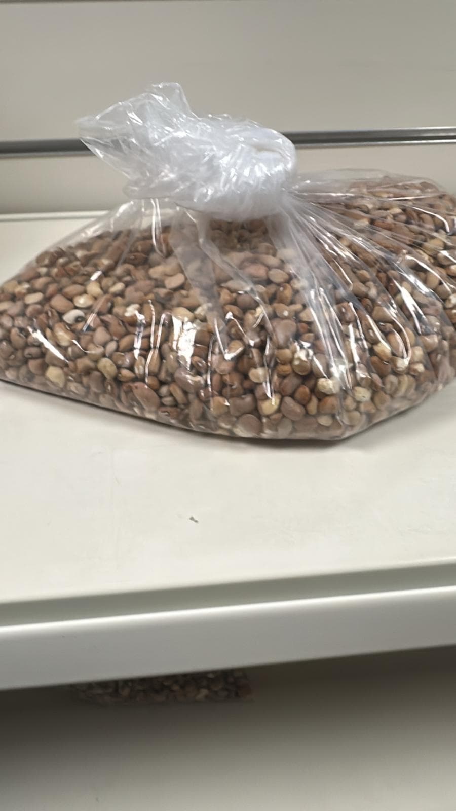 Original honey beans